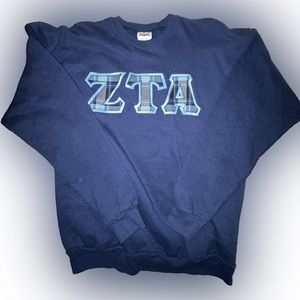 ZTA Zeta sweater crewneck (medium)
